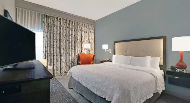 Номер Business Hampton Inn Greenville/Woodruff Road