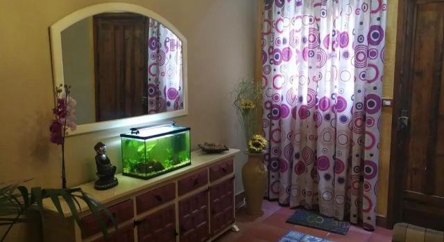 Номер Standard El Oasis Canario