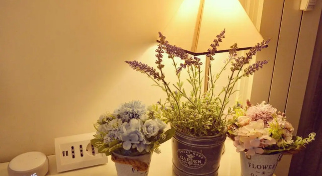Двухместный номер Standard RomAntic Dreams Guest House