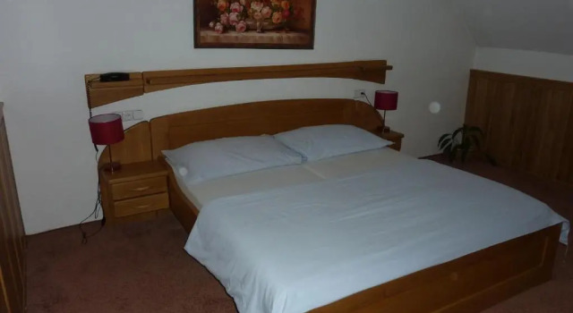 Люкс Hotel & Restaurant Na Fryštátské