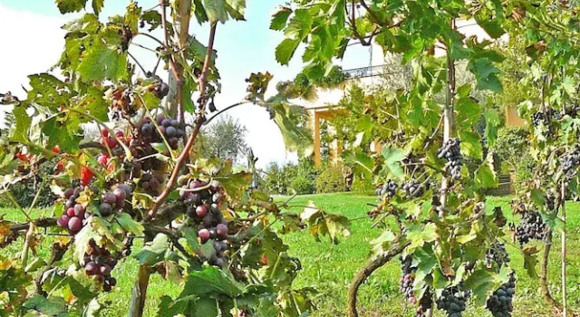 Villa Montecasciano - 8 Sleeps Private Garden