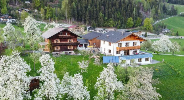 Коттедж Ferienhaus Bognerhof
