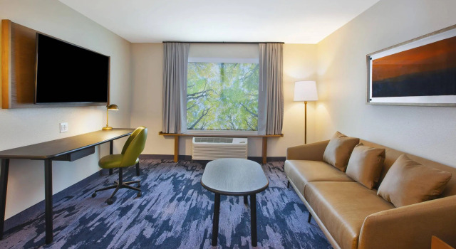 Двухместный люкс Fairfield Inn & Suites by Marriott Flint Grand Blanc