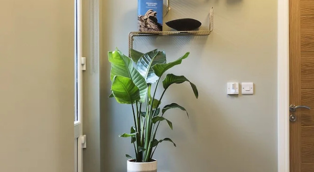 Апартаменты Standard c 1 комнатой Blue Door Apartments
