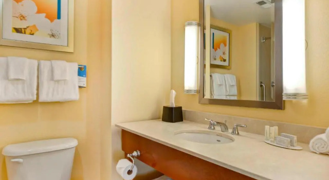 Номер Standard Fairfield Inn and Suites by Marriott Durham Southpoint