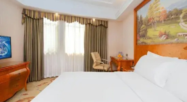 Люкс Standard Vienna Hotel Longchuan