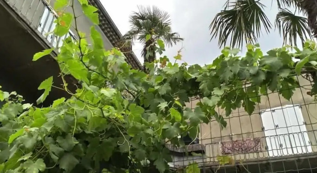 La Maison Jaffran, suite en ville, Забронировать Отель Отели Прива с парковкой, Парковка