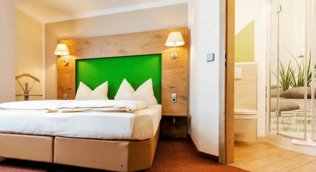 Номер Economy Günzburg City