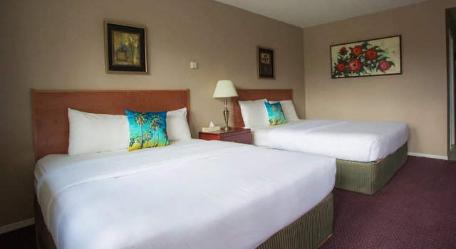Четырёхместный номер Standard Powder Mountain Lodge