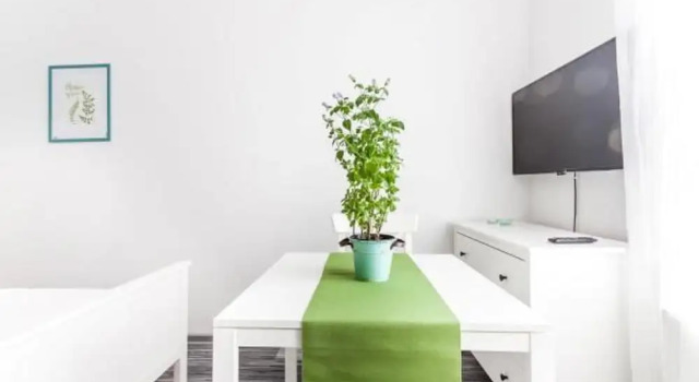 Студия Standard Melissa Apartments