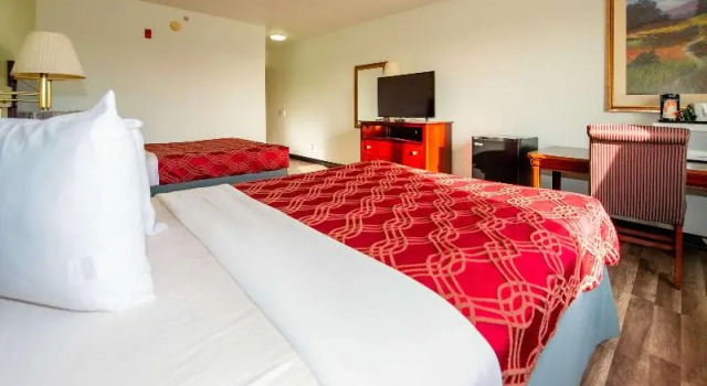 Номер Standard Rodeway Inn Central Colorado Springs