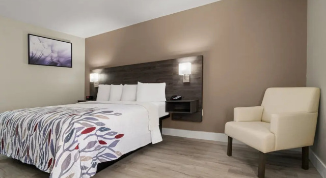 Номер Superior Red Roof Inn Washington, NC