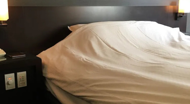 Двухместный номер Comfort Hotel Strix Tokyo