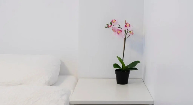 Семейный номер Standard Media Luna Guesthouse