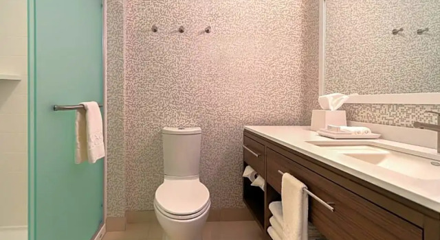 Люкс Home2 Suites By Hilton Alcoa Knoxville Airport
