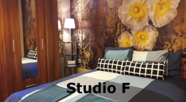 Studio M