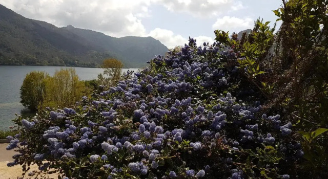Коттедж Côté Lac Tolla