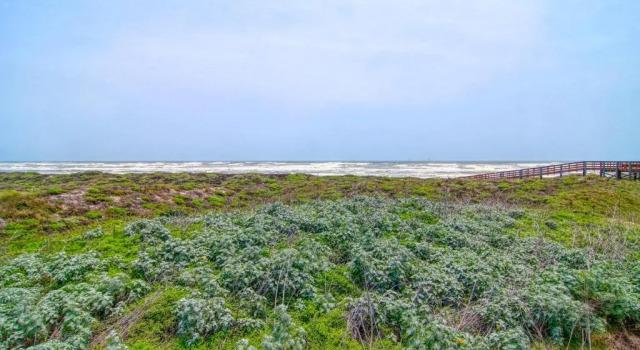 High Tide Hacienda 103GW