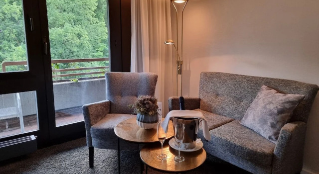 Одноместный номер Comfort с балконом Hotel an der Therme