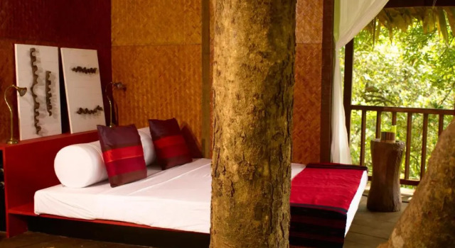 Коттедж Rainforest Resort