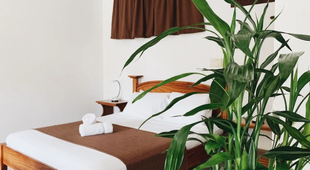 Студия Standard Villa Del Sol Boutique Hotel