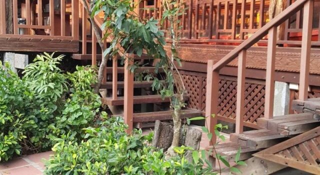 Ruean Mai Chai Khlong, Varaa Hotelli Amphawa Samut Songkhram