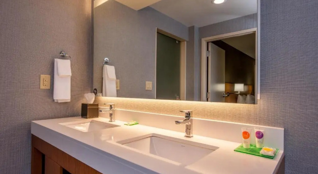 Двухместный номер Hyatt Place Chicago OHare Airport