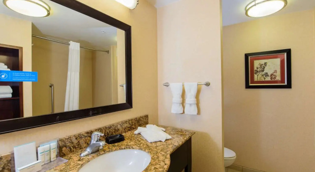 Номер Standard Hampton Inn & Suites Denver/Highlands Ranch