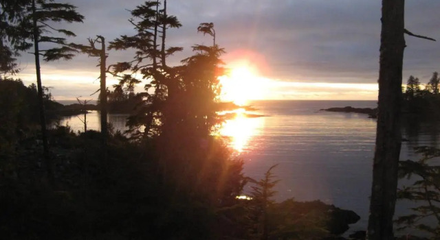 Двухместный люкс Reef Point Oceanfront Bed and Breakfast
