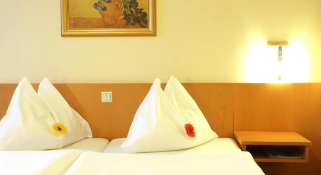 Номер Standard Hotel Der Stockinger