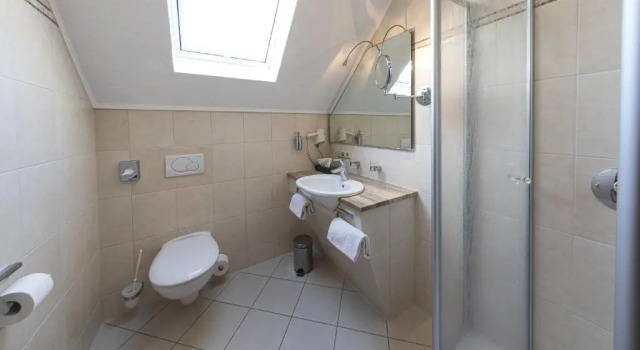 Двухместный номер Standard Hotel Zur Schmiede