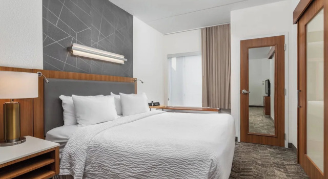Студия SpringHill Suites by Marriott Downtown Chattanooga/Cameron Harbor