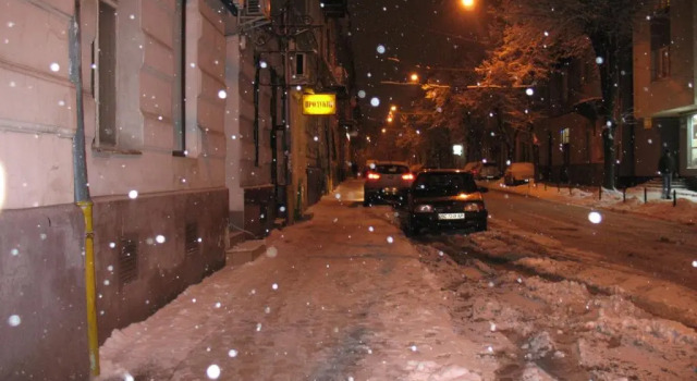 Apartment Flat on Sheptytskykh