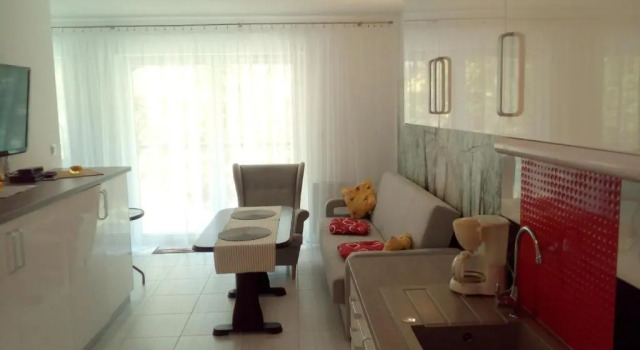 Апартаменты Apartment SILESIA