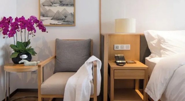 Люкс Deluxe Chongqing White Cloud Boutique Hotel