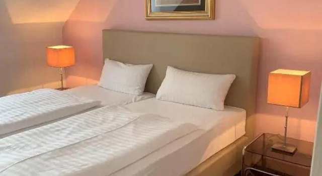 Двухместный номер Standard Hotel Germania