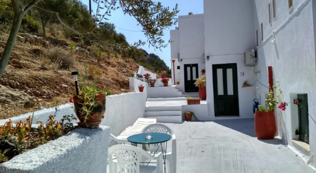 Студия Anemone Homes