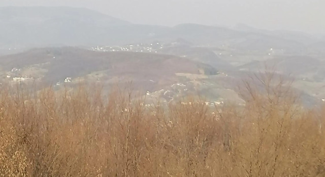 Zuta Kuca Sunca