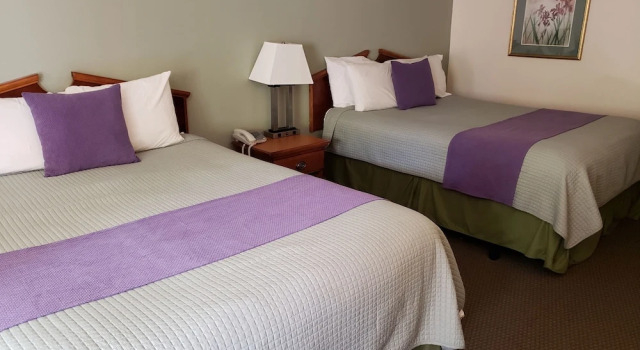 Четырёхместный номер Standard Hot Springs Village Inn