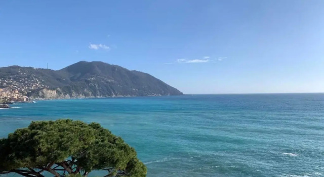 Апартаменты Ferienwohnung für 5 Personen ca 100 m in Recco, Italienische Riviera Golfo Paradiso