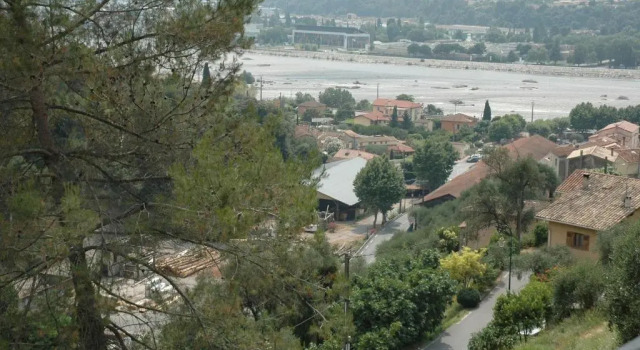 La vigne sous les pins