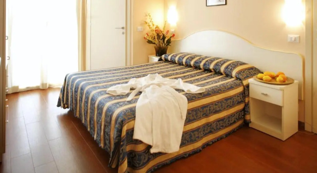Номер Classic Hotel Plaza
