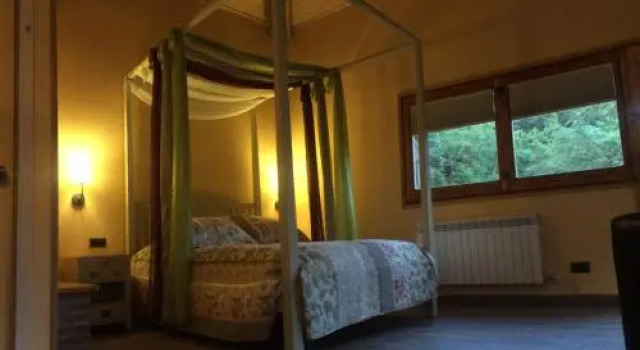 Els Apartaments del bosc, Book Hotel Hoteller i Ripolles med pool, Swimmingpool