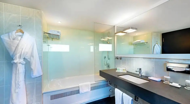 Двухместный люкс c 1 комнатой с видом на реку Crowne Plaza Düsseldorf - Neuss by IHG