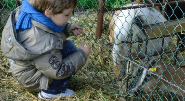 Il Vignale, Varaa Hotelli Massa Martana Umbria