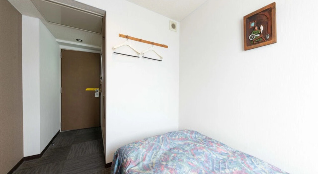 Одноместный номер Standard Tabist Hotel Diana Yachiyodai