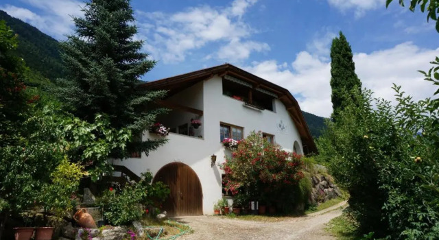 Schwaningerhof