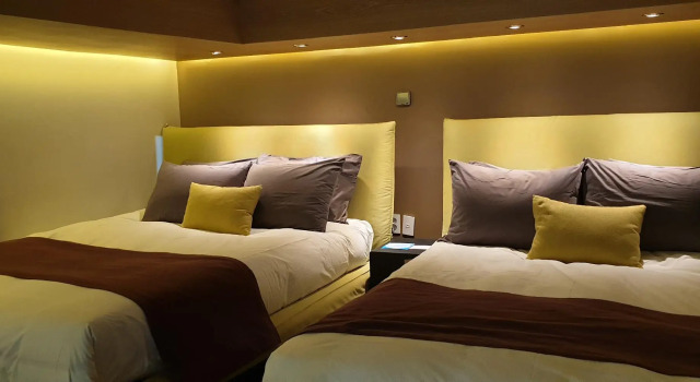 Люкс Seoul In Hotel