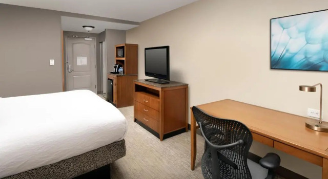 Двухместный номер Premium Hilton Garden Inn Atlanta West/Lithia Springs