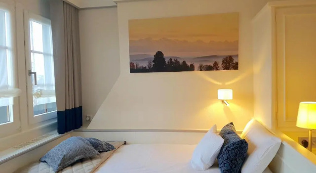 Одноместный номер Standard Bio- und Wellnesshotel Alpenblick